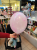 4d2d81ce-1d86-470f-b780-638bc02bed33.png
